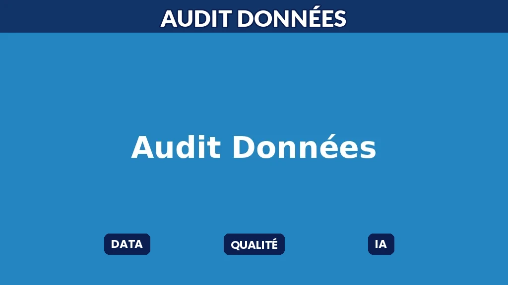 Auditeur analysant la qualité des données